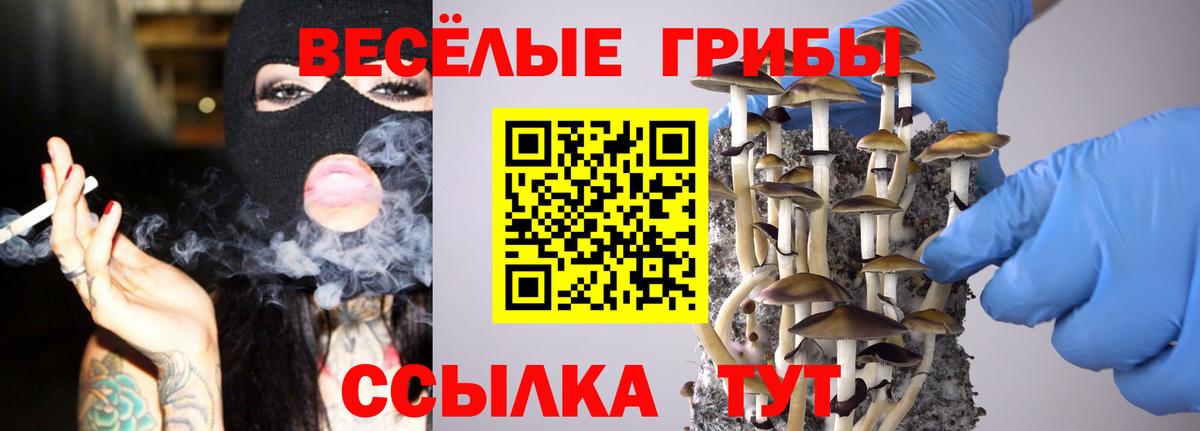 Псилоцибиновые грибы Cubensis  Вход с VPN  Луховицы 